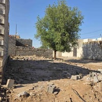 عرصة • ١٨٠م • الديوانية