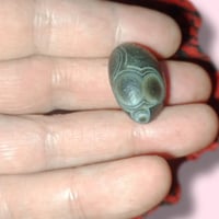 سليماني قديم • عينتين • توصيل