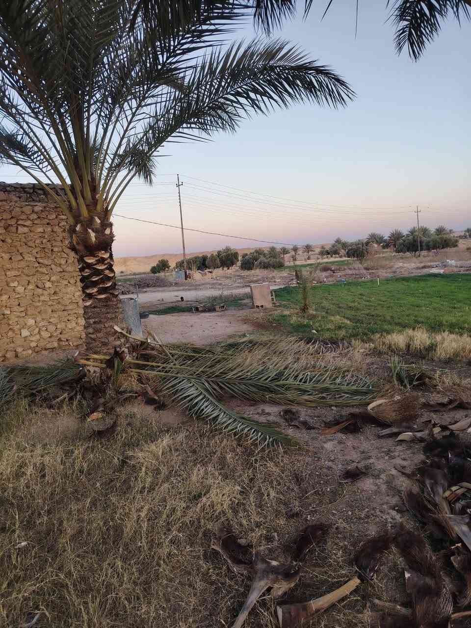 تكريب نخل اسعار مناسب
رقم الهاتف ***********
