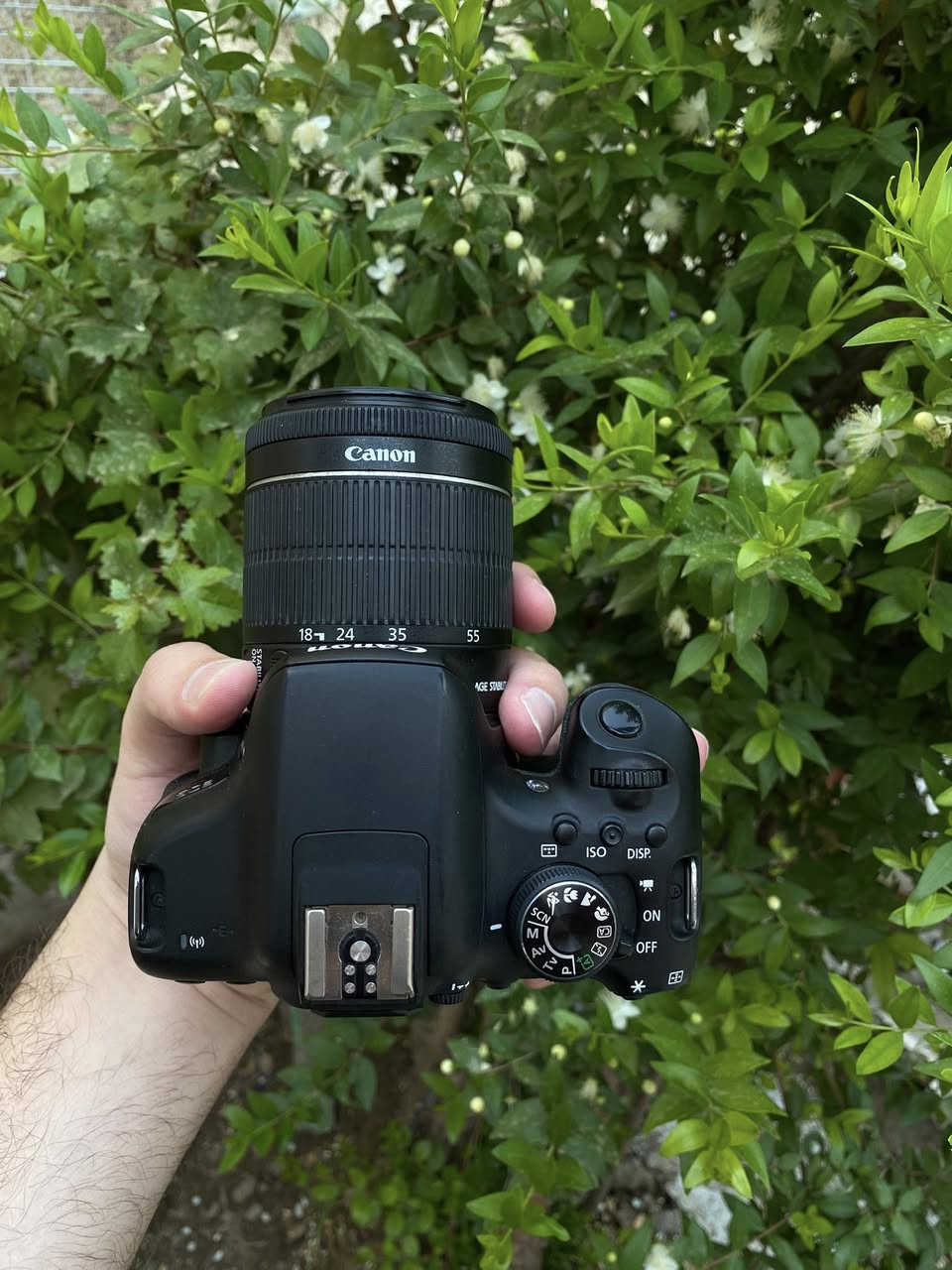 للبيع كامرا كانون 750D الحديثة شاشة لمس قلاب + wifi نضافه موضحة بلصور
ملحقات
عدسه 18-55 استبلايزر مانع اهتزاز
شاحنة
بطاريه
السعر 460 الف وبي مجال للطيبين 
مكان بغداد البنوك 
لايوجد توصيل


**إذا كنت صاحب هذا الإعلان وتريد حذفه لأي سبب، رجاءا أرسل رسالة إلى الدعم الفني**