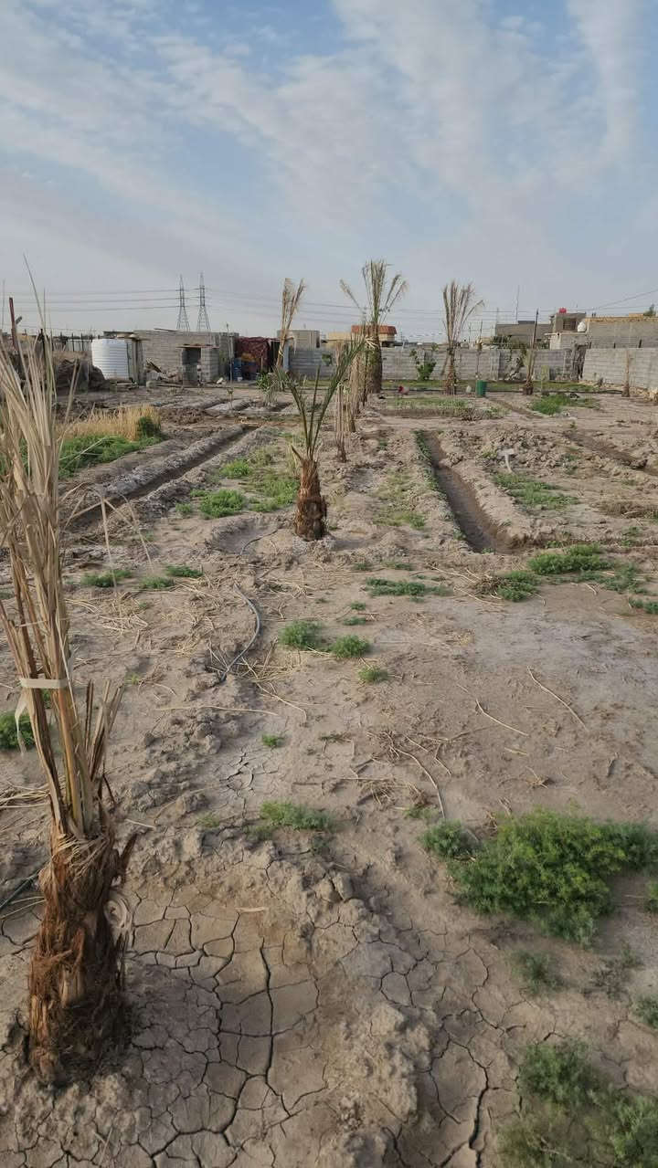 قطعه ارض للبيع في زراعي حي الجامعة
المساحه.1800.متر واجهه . 86 نزال . 21. مشموله بالجهد الخدمي 
السعر  98
السعر تفاصيل خـــــــــــــاص 🎇🌝🌞☀🔥


**إذا كنت صاحب هذا الإعلان وتريد حذفه لأي سبب، رجاءا أرسل رسالة إلى الدعم الفني**