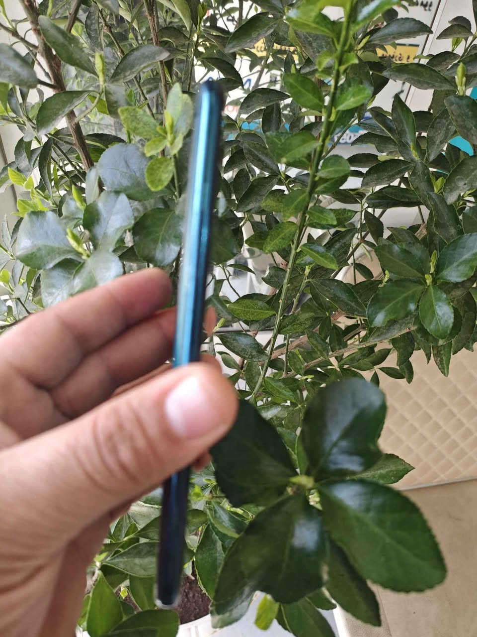 HUAWEI P Smart Z 

دەستی دووی زۆر خاوێن  ڕامی 4 و زاکیرە 64  ♦

نرخی 95 هەزار 

***********
***********
ناونیشان قەڵادزێ بشدار, السليمانية
