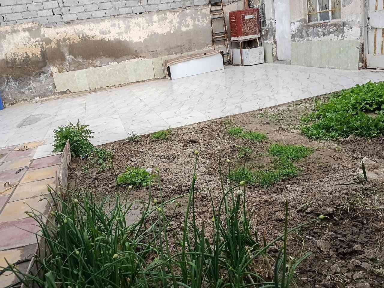 سلام عليكم بالنظر للوعود الكاذبه بيت للبيع في منطقه ام الخيل قرب مركز الجوادين الجديد  يتكون البيت من غرفتين وهول ومطبخ وبراني وصحيات داخليه وخارجيه البيت زراعي ومساحته ٢٠٠ متر السعر ٢٥؛ قفل مابيه مجال والاستفسار اتصال على رقم *********** مامتواجد على الفيس فقط تصال
