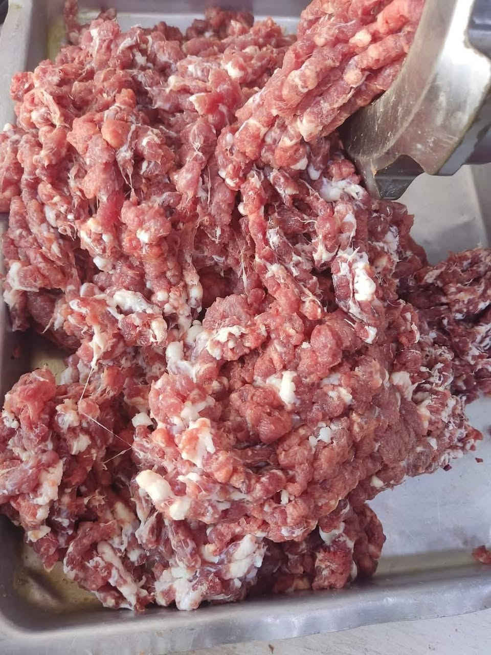 بسم الله الرحمن الرحيم

نبارك لكم شهر رمضان المبارك
 ان شاء الله سنكون متواجدين في المطعم 
 من الساعة 2ظهراً _10مساءً

📌مطعم كباب المرشداوي  🥩 كباب لحم _تكه لحم _تكه دجاج🍗 _معلاك _چلاوي _كباب دجاج  _🍛تمن ومرق بانواعه _  دجاج شوي _تشريب دجاج _تشريب لحم 🥩_مشروبات غازيه _لبن _شاي ☕لسنا الوحيدين  لكننا الأفضل 💥يوجد جناح خاص للعوائل 💥
   📌أرقام المطعم 📞***********📞***********
