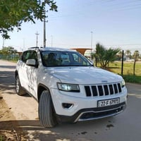 لاريدو • ٢٠١٤ • كفالة عامة