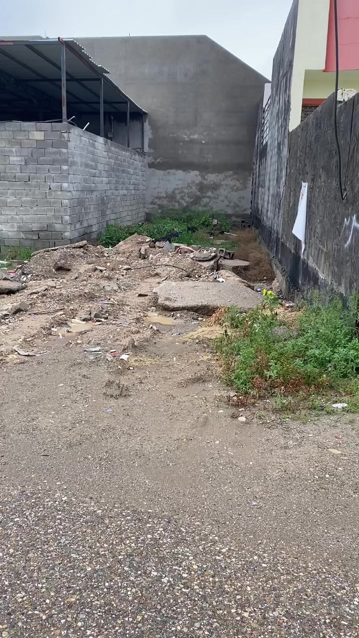 سلام عليكم قطعة ارض للبيع الموقع ام الإعظام اول متدخل فرع مكتب المدينه او قطعه خلف التجاري خدمات كامله ماء وكهرباء وتبليط ومجاري المساحه 125 واجهه 5 متر و30  سانتيم ونزال 25 جنس الارض زراعي سند ٢٥ السعر 43 مليون او بيه مجال اتصل وتدلل ***********
