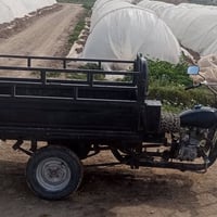 السمر375 • تيار • الطيفيه