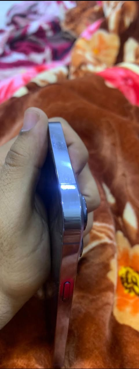 آيفون 13bro max جهاز مكفول ما مفتوح برغي بي
سعر 750 
تواصل خاص 
وعلى رقم المدرج ادناه
***********
