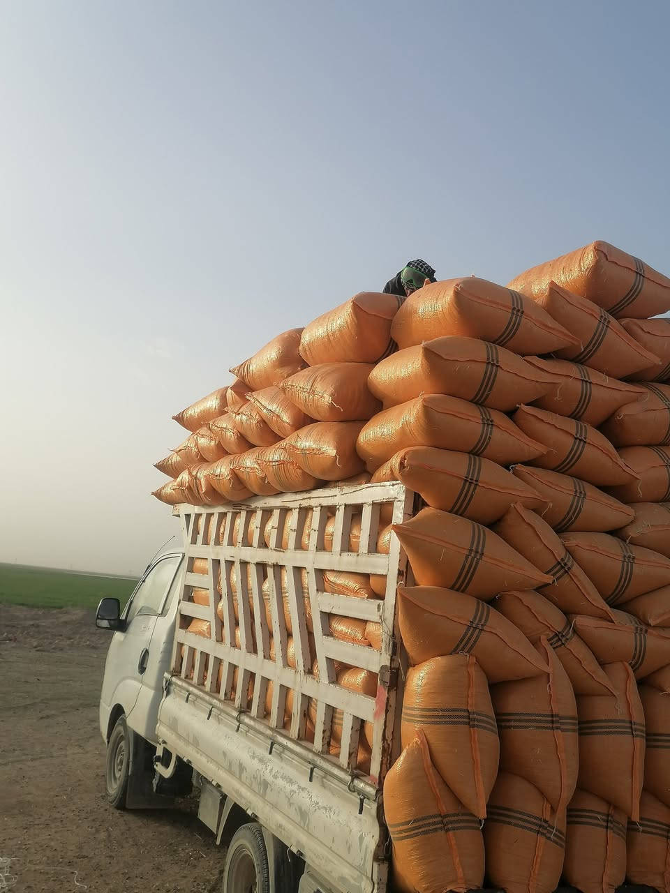 اسلام عليكم يوجد لدينا تبن درجه اولى كيس حجم 60 للبيع سعر الزوج 3ونص وبي مجال وتوصيل مجاني الدجيل بلد يثرب الضلوعيه السحاقي لتواصل عل رقم الهاتف *********** واتصل ودلل
