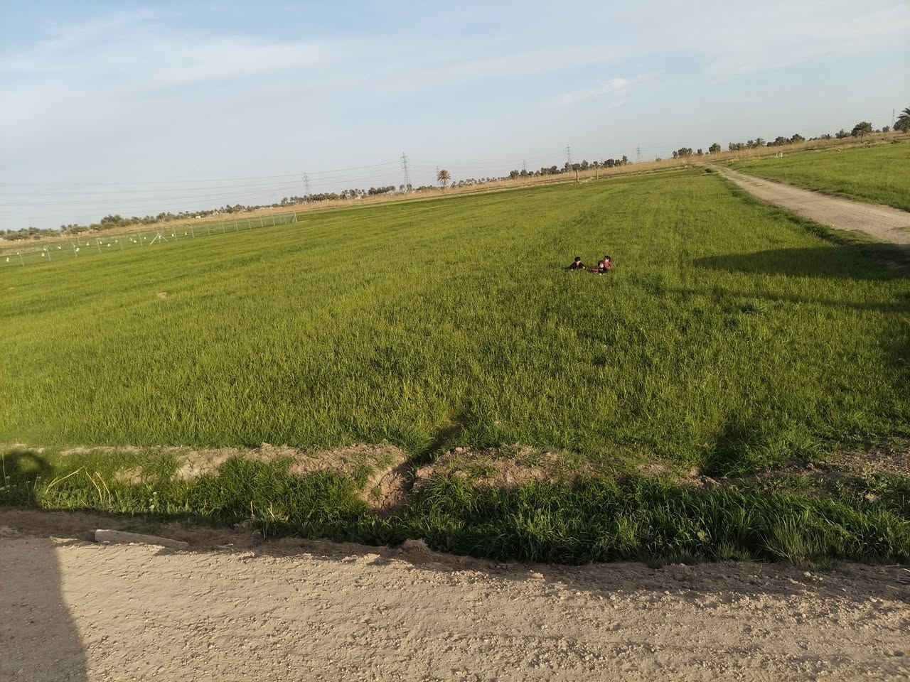 السلام عليكم ورحمة الله من رخصة الادمن  يتوفر لدينا قطعة أرض طابو زراعي سند 25تحويل مباشر موقع الارض في الرمادي  بداية مدخل زنگوره  وجه علا الروائي  المساحة 3دونم و500  للاستفسار الاتصال علا الرقم ***********
