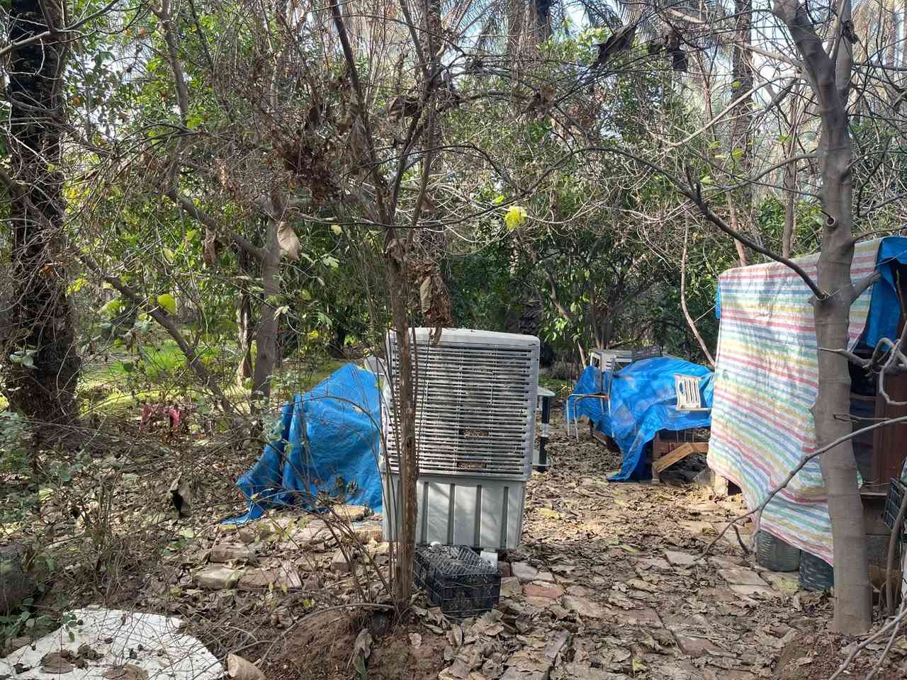 🌷🌹بساتين عدد 2 للبيع / ديالى خانقين / كوجة باغ جلوه طابو صرف 
واحد منهم 10 دوانم 
والثاني 4 دوانم  / مثمر اثنينهم 

السعر / كل دونم 70 مليون 

للأستفسار اكثر اتصال بالارقام فقط 
***********
***********
مكتب فريا موفق للعقار
