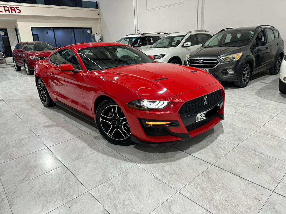 موستنك ايكو بوست 2.3L
بريميوم فول
موديل 22
السياره كلش نضيفه و نصبتهه
تخبل ماشيه ٤٧ الف
ضررهه قطعتين جاملغ و بنيد
الشواصي سليمه كلشي مابيهه
مواصفاتهه
دشبول سبع الوان واناره ترحيب ب الامرايات و تدفئه تبريد كشنات و رادار و هواي مواصفات مابيهه
اي نقص ابد
رقم الهاتف 0782 371 80160
السعر ١٩٣ وبيها مجال بسيط
