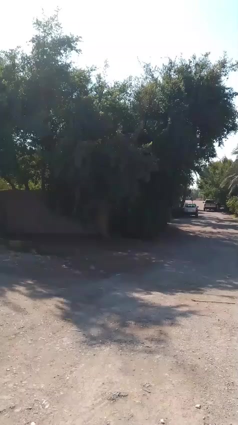 اعلام مكتب واثق المياحي  ***********
للبيع بيت 291 متر سند اما واقع حال, 600 م واجهة 14/75
الكوت دور المعلمين على مجاور المسبح 
التفاصيل في الفيديو
