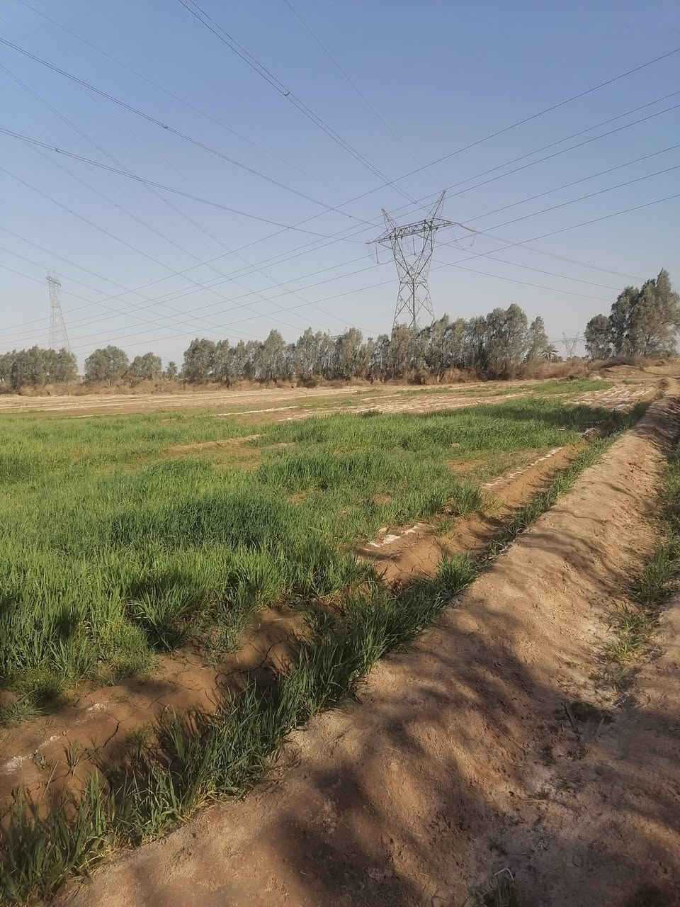 سلام عليكم كاع البيع ٨ دونم ماطور كاز وقرطاس بيتين واحد كامل تكدر تنزل بيه واحد عوزه بس كهرباءوالباخ وماء رساله ونهرسكي شتاء وصيفي بغداد نهروان تقاطع نهروان يم حسينية جعفر الصادق وكذالك سواق ماركت القمه سحب موجود مدرسة موجود تصل بيك خير ودلل ***********
