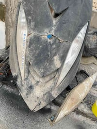 ثعلب • مكان زين