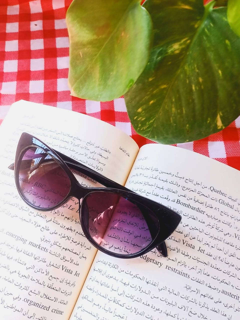 بمناسبة اقتراب عيد الفطر المبارك 
توفر حديثا في عيادة  الزاب الطبية لفحص البصر 
نظارات شمسية طبية تجمع بين الأناقة والحماية في آنٍ واحد
 لتمنحكم رؤية واضحة ومريحة مع مظهرٍ أنيق يليق بكم في كل وقت.
 عدساتها الطبية مصممة بدقة حيث تحتوي على:
• درع الـ UV400: حماية كاملة بنسبة 100% من أشعة الشمس الضارة التي تسبب الإجهاد والتجاعيد حول العين.

• تقنية "البلوكات" الذكية: عدسات متطورة تكسر حدة الضوء وتمنع الوهج المزعج، لراحة بصرية لا مثيل لها.

• تصميم أيقوني: إطارات عصرية تناسب ملامحكِ وتمنحكِ "كاريزما" فورية بمجرد ارتدائها.
• خفة الوزن: لن تشعري بوجودها، لكن الجميع سيلاحظ جمالها عليكِ
عنوان العيادة 
الزاب _مجمع الزاب الطبي _ الطابق الثاني _ مجاور انباري الزاب

الأسعار
5000
10000
150000


**إذا كنت صاحب هذا الإعلان وتريد حذفه لأي سبب، رجاءا أرسل رسالة إلى الدعم الفني**