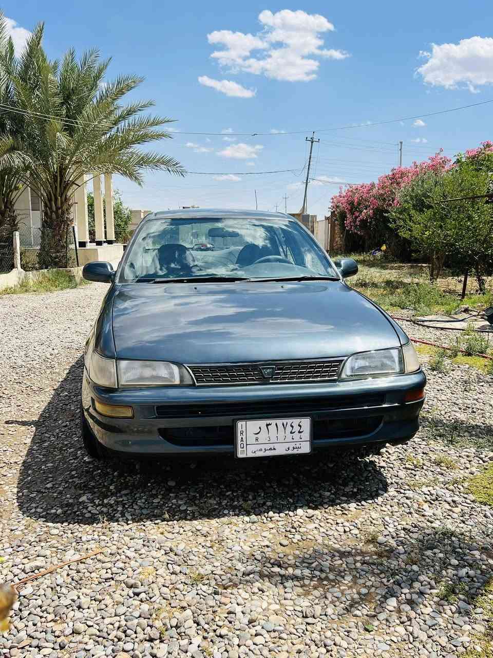 كورلا ٩٤
طخم تاير صدر ويل كب 
سنوية جديدة 
بيها طخة بسيطة بالجاملغ الامامي اليسار فقط 
رشيتها عام على ايدي اثر جراد 
سيارة جاهزة . المحرك بي دخن بداية التشغيل

تبريد شغال 

***********

50 وبيها مجال
