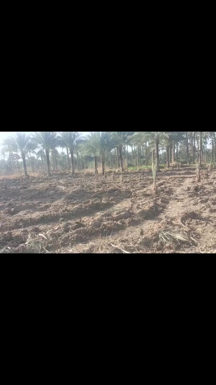 السلام عليكم
2000 متر طابو زراعي سند 25 تحويل مباشر 
وجه الارض 40
تفاصيل الارض بالفيديو 
موقع كربلاء منطقه نهر سلام 
***********
***********
