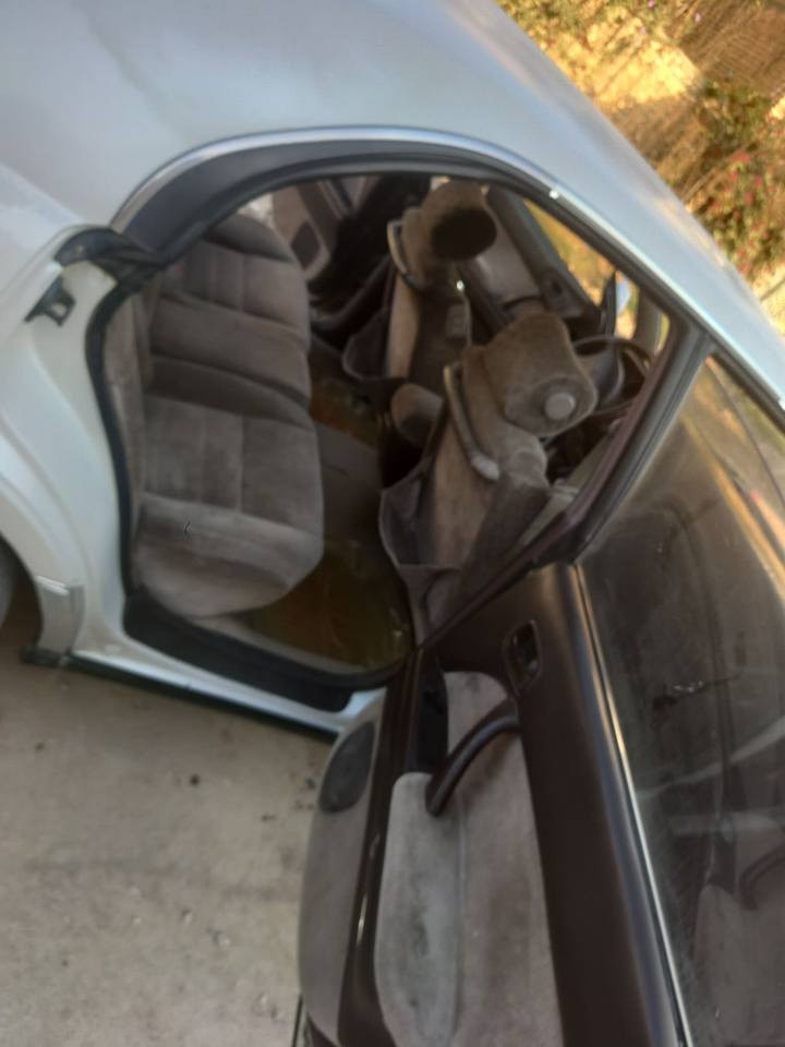 السلام عليكم بطه متصل مكفوله كفاله عامه مكاني بابل القاسم مكلف بلنشر رقم راعيهه***********
