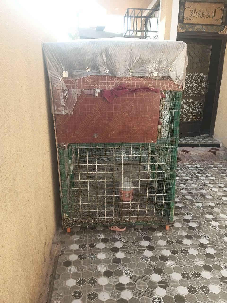 سلام عليكم قفص للبيع السعر 150بي مجال ***********
