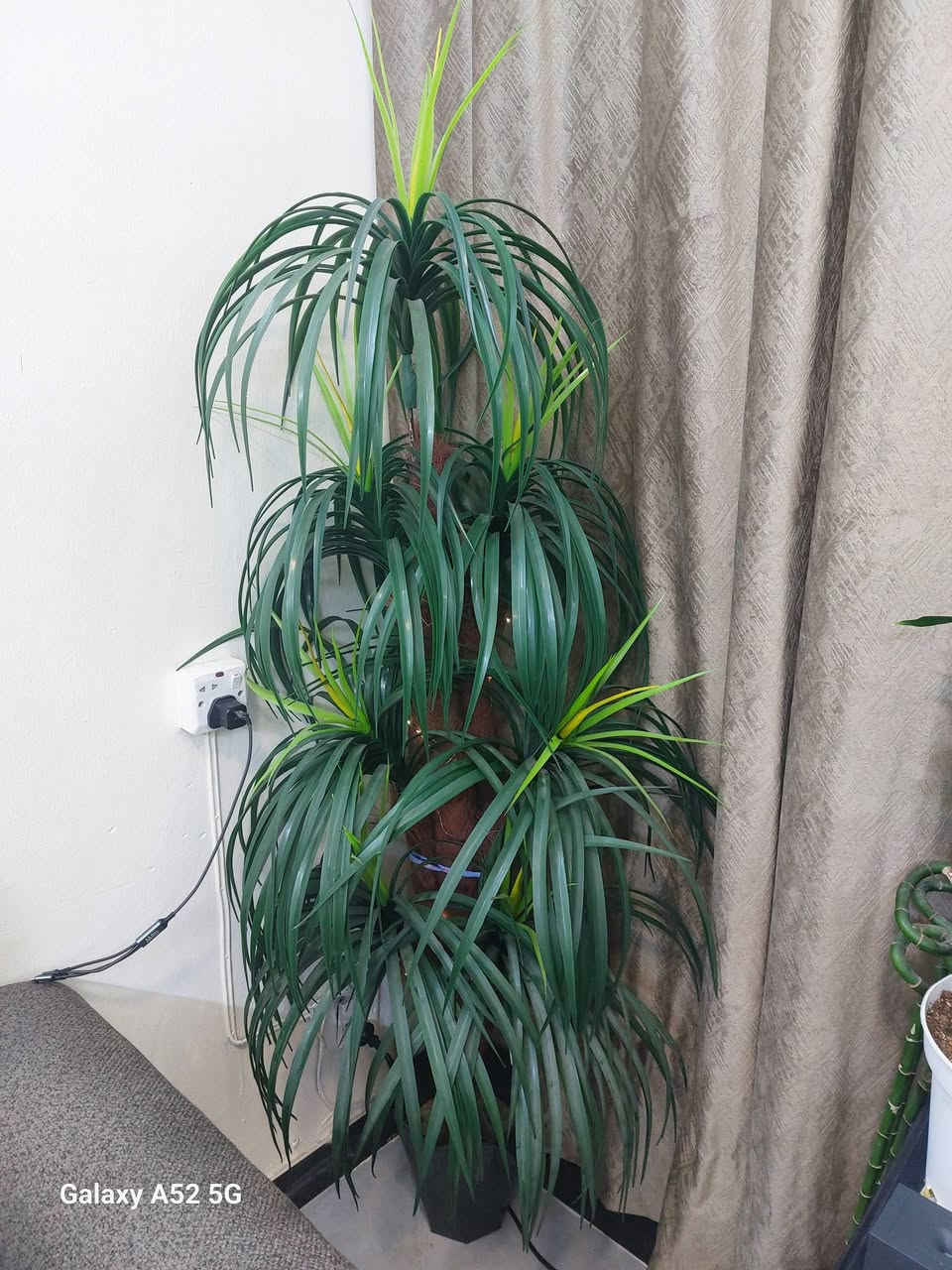 السلام عليكم للبيع شجرة كبيرة السعر ٣٥ المكان بغداد حي الضباط مقابيل بانزيخانه حي العامل


**إذا كنت صاحب هذا الإعلان وتريد حذفه لأي سبب، رجاءا أرسل رسالة إلى الدعم الفني**