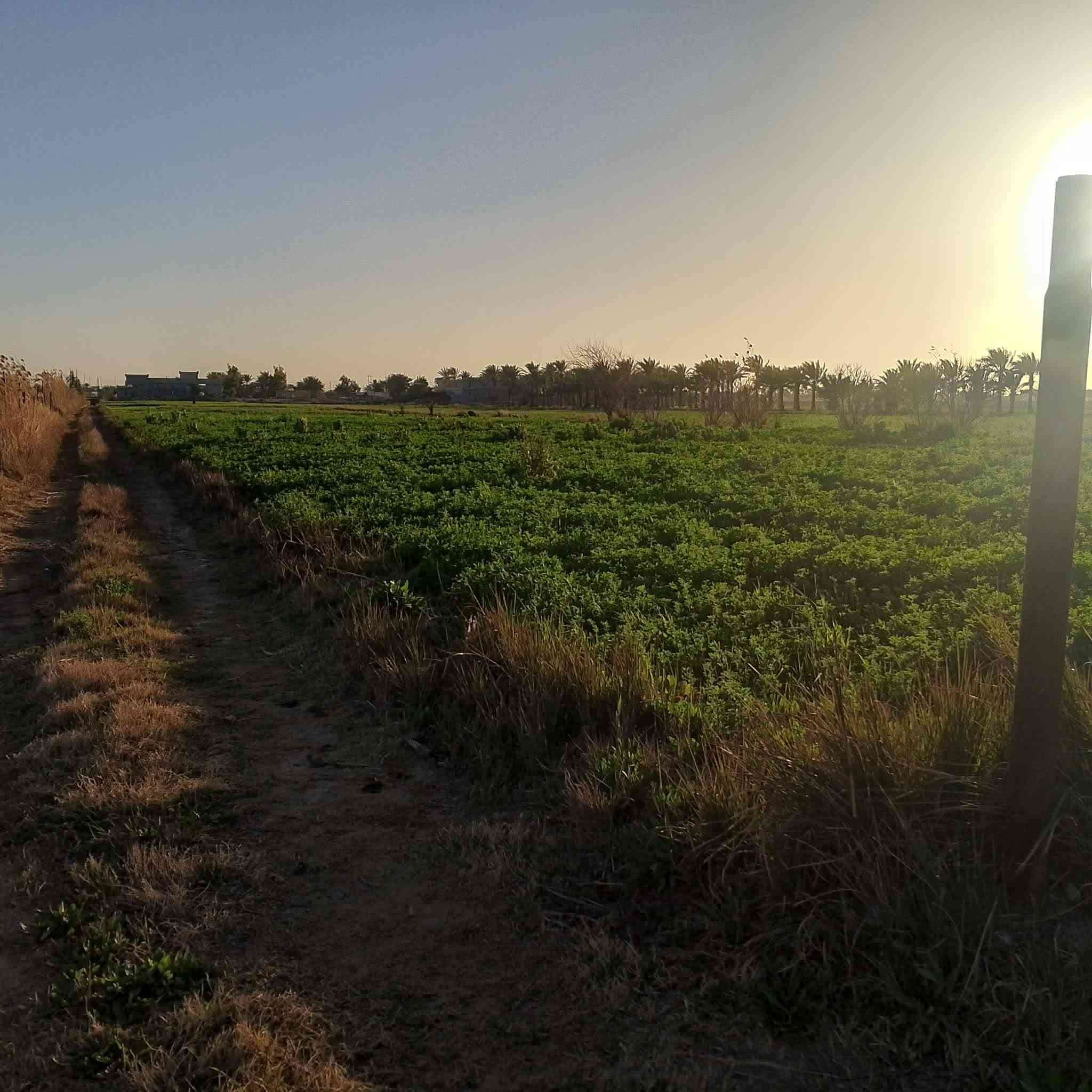 كاع للبيع مساحة8دونم طابو زراعي سند25 بالسجر تريدها كلها او دونم او دونمين عادي
#سعر_الدونم22_قريبه_من_النهرالسجر خمس 
دقائق من الفلوجه  قرب نهر الاروائي 100متر


**إذا كنت صاحب هذا الإعلان وتريد حذفه لأي سبب، رجاءا أرسل رسالة إلى الدعم الفني**