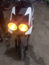 دراجتين • جبلي • المسيب