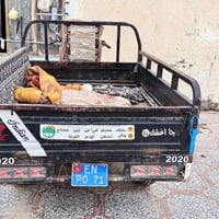 دايون • ٢٠٢٠ • كهربائية