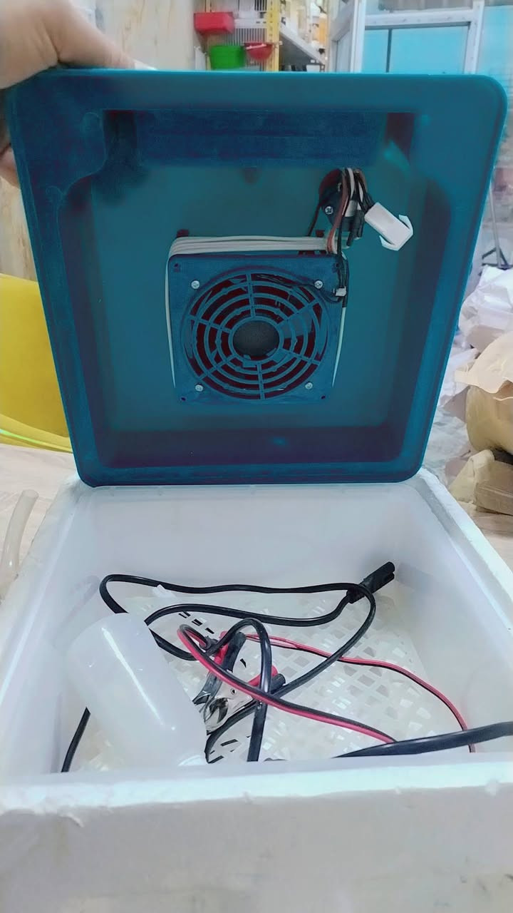 #فقاسه صناعه صينيه
سعه ١٦ بيضه
تقليب الي
شاشه دجتل لتنضيم الحراره والرطوبه
تعمل على الكهرباء والباتري
للاستفسار الاتصال على ***********
عيادة الرحمه البيطريه
بابل الهاشميه حي العسكري مقابل عالم السيراميك
