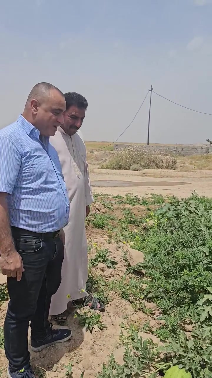 نتائج رائعة للهيومك السلوفاكي 🇸🇮  على الرقي  والبطيخ  
محافظة صلاح الدين  تكريت  قرية المحزم    
#زراعة


**إذا كنت صاحب هذا الإعلان وتريد حذفه لأي سبب، رجاءا أرسل رسالة إلى الدعم الفني**