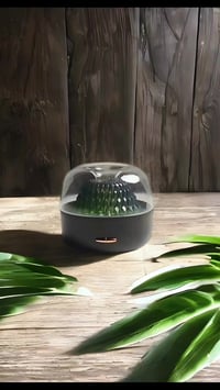 مرطب جو ذكي • مبخرة بخور • إضاءة ساحرة