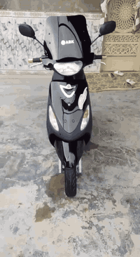 ماكس منغولي • بوشه 50 • نظافه 90%