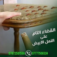 كيف تحفظ بيتك من النمل الابيض في المستقبل؟  يسبب النمل الابيض أضرار كب...