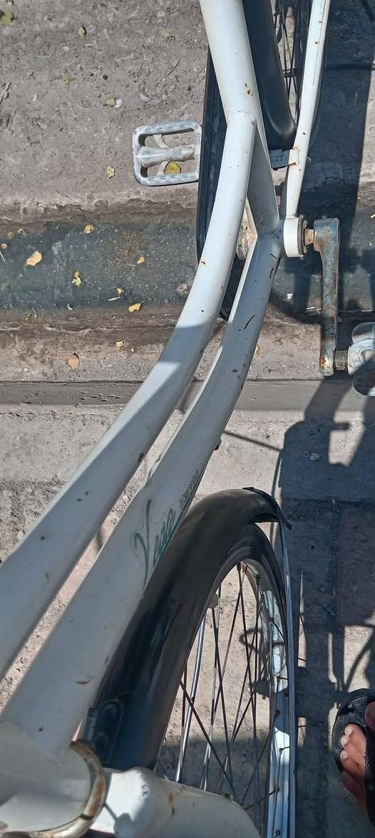 السلام عليكم باسكل لبيع السعر 65 وبي مجال مكاني كركوك حي العسكري


**إذا كنت صاحب هذا الإعلان وتريد حذفه لأي سبب، رجاءا أرسل رسالة إلى الدعم الفني**