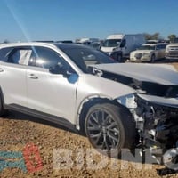 كراون ساينيا • ٢٠٢٥ • فول اوبشن