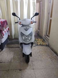 سكنس فحل باياني البيع لسعر 950الف ماشيه47الف رقم الجوال 07707183153 مك...