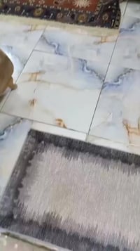 بيت قطاع ٣١ طابق ونصف قريب ع جامع سيد الرسل ع المساحه ١٤٤  بيت فارغ حا...