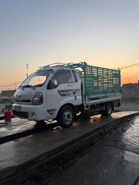 فحل للبيع موديل 21 تفاصيل أكثر  07780340800