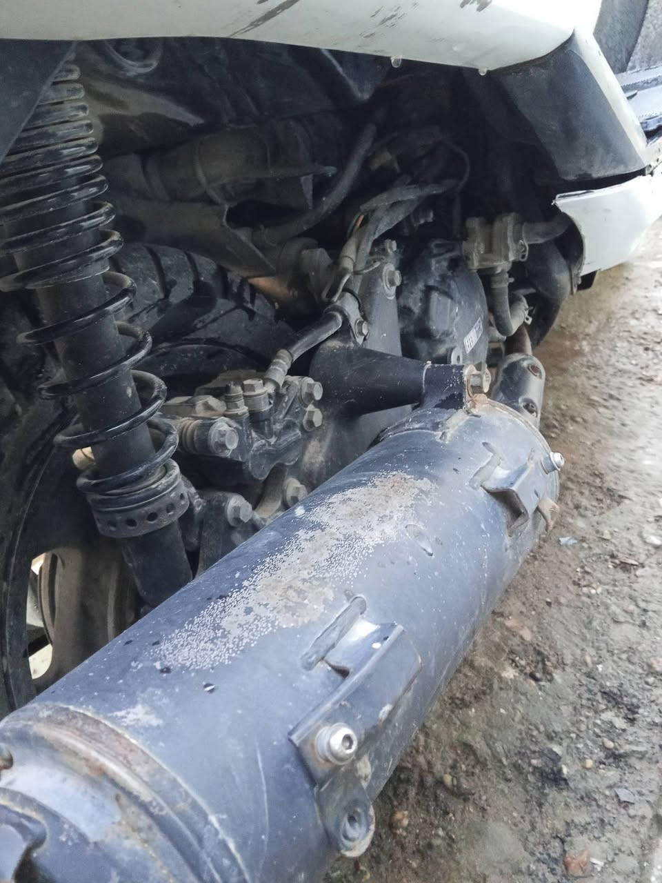 السلام عليكم شباب دراجة ماجستة دبل رون مكينة 250cc،سعرهة 400وبيهة مجال للشراية،عنواني بغداد،
*********** هذة رقم تلفوني
