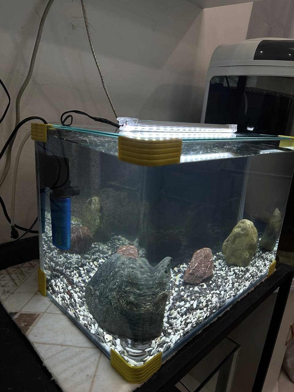 بە كاملی نرخی بۆتە  ٤٥ هەزار .. داشكانی بۆ كراوە
حەوزی شەریكەی پێش قەوس دیزاین كراوە
لیدێكی سپی لەگەڵە
سەقفی شوشەی شەریكەی خۆی لەگەڵە
فلتەری ناو حەوزی لەگەڵەو هەمیش ئۆكسجینە
 بنی حەوزەكە بە بەردی هاڕاو  ڕازاوەتەوە
٣ بەردی گەورەی  لەگەڵە وەك دیزاین
پشتی باگراوندی ڕەشی لێدراوە
قیاسی درێژی ٤٥ سم بەرزی ٣١ سم پانی ٢٦ سم
_______________
ئەوەی ویستی نامە بنێرێت لە واتس ئەپ یا ڤایبەر 
***********
گەیاندنمان تەنھا بۆ ناو سلێمانی ھەیە
