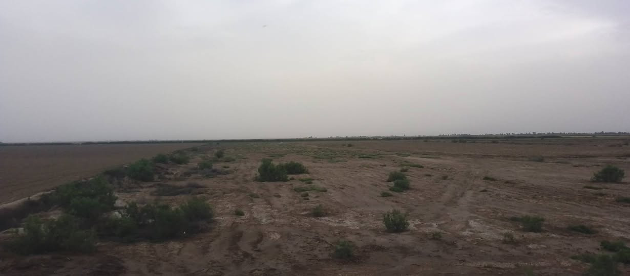 السلام عليكم قطعت أرض زراعيه للبيع  مساحته 20 دونم  صويره على. طريق المطار تبعد عن الشارع كيلو الماء متوفر بيه شتاء وصيف الاستفسار %***********

