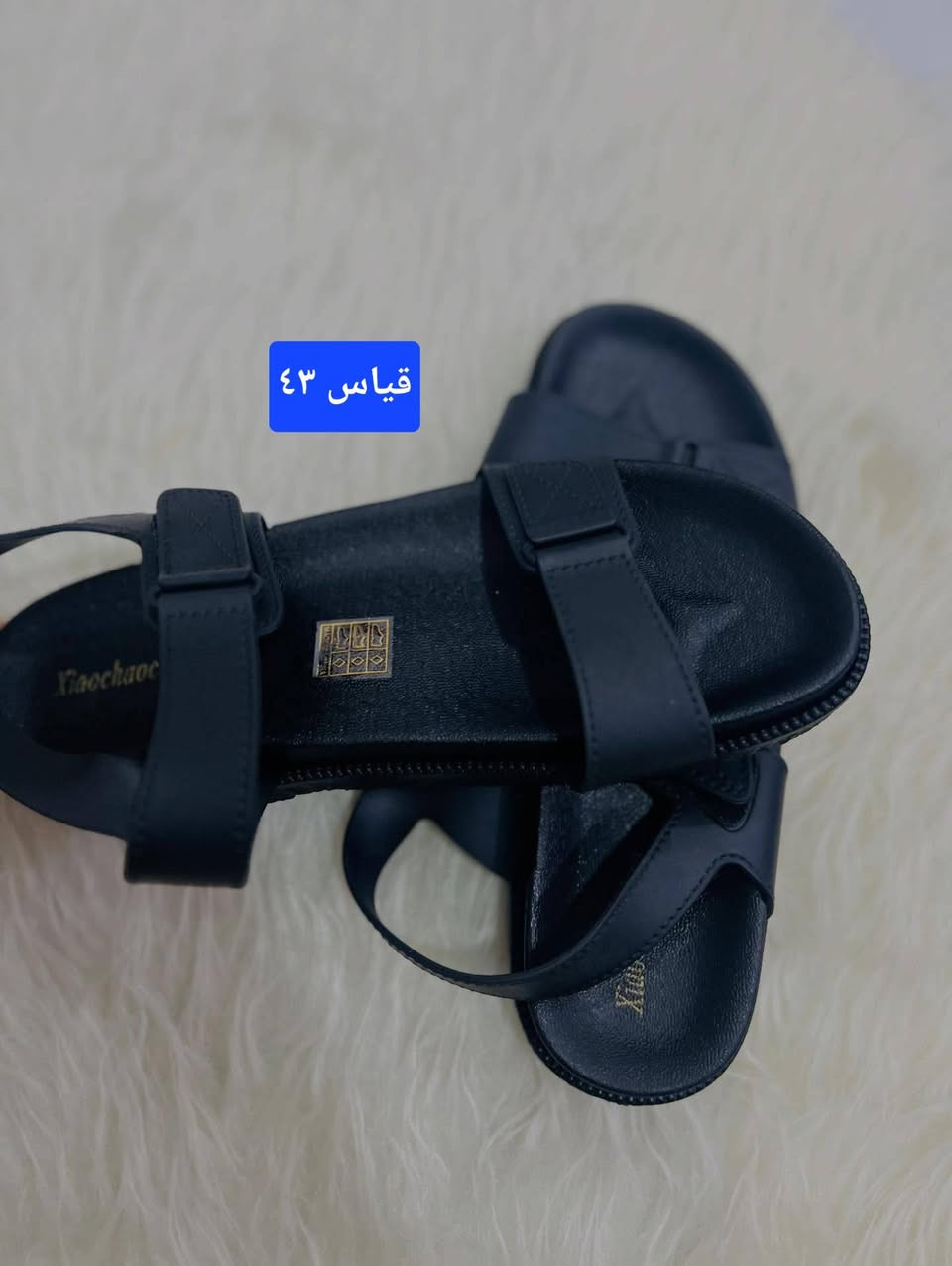 سعر القطعة 3
التوصيل لكل المحافظات 3


**إذا كنت صاحب هذا الإعلان وتريد حذفه لأي سبب، رجاءا أرسل رسالة إلى الدعم الفني**