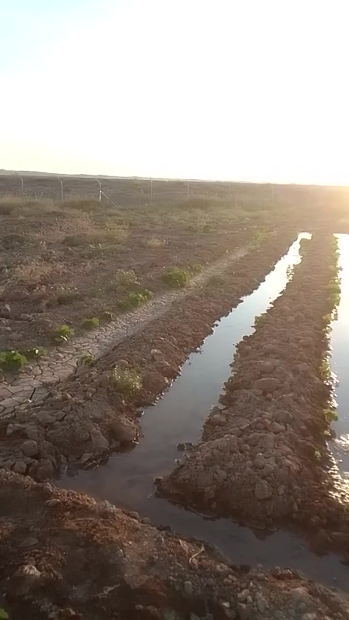 ارض للبيع مساحتها 1800سند زراعي 
موقعها بين السكه والشارع العام
متوفر مي وكهرباء جميع الخدمات
مباشرا على شارع التجاري
مزروعه أشجار اي ستفسار
اسعر خاص او اتصل وتدلل ***********
