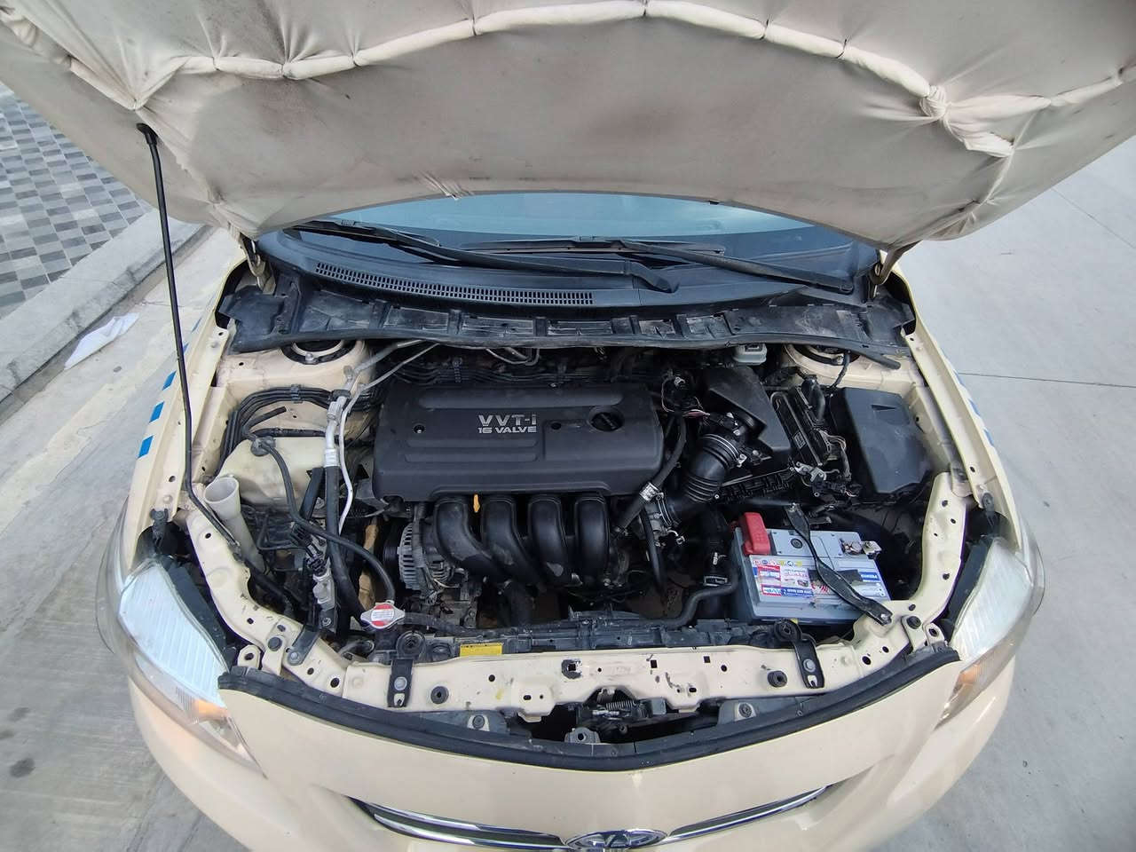 به ناوى خواى كه وره كرؤلا 2009 كيرعادى بى بؤياخ بيشودواى كه بسه هيجى پيوه نيه سه نه وى تا 2027تازه يه مالى دؤسته سعرى 119كه لا و كه ميك مه عمه له ى برايانه ***********
***********
.
