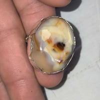 محبس داودي • خشن • مصور