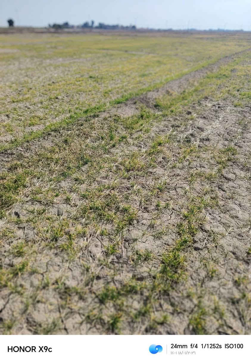 ارض زراعيه للبيع كل الخدمات متوفره ماء كهرباء مدارس مستوصف تقع على طريق سيد أحمد الرفاعي واجهيه الكاع عله الشارع العام قريبه عله الولايه ***********@ *********** اي استفسار خاص
