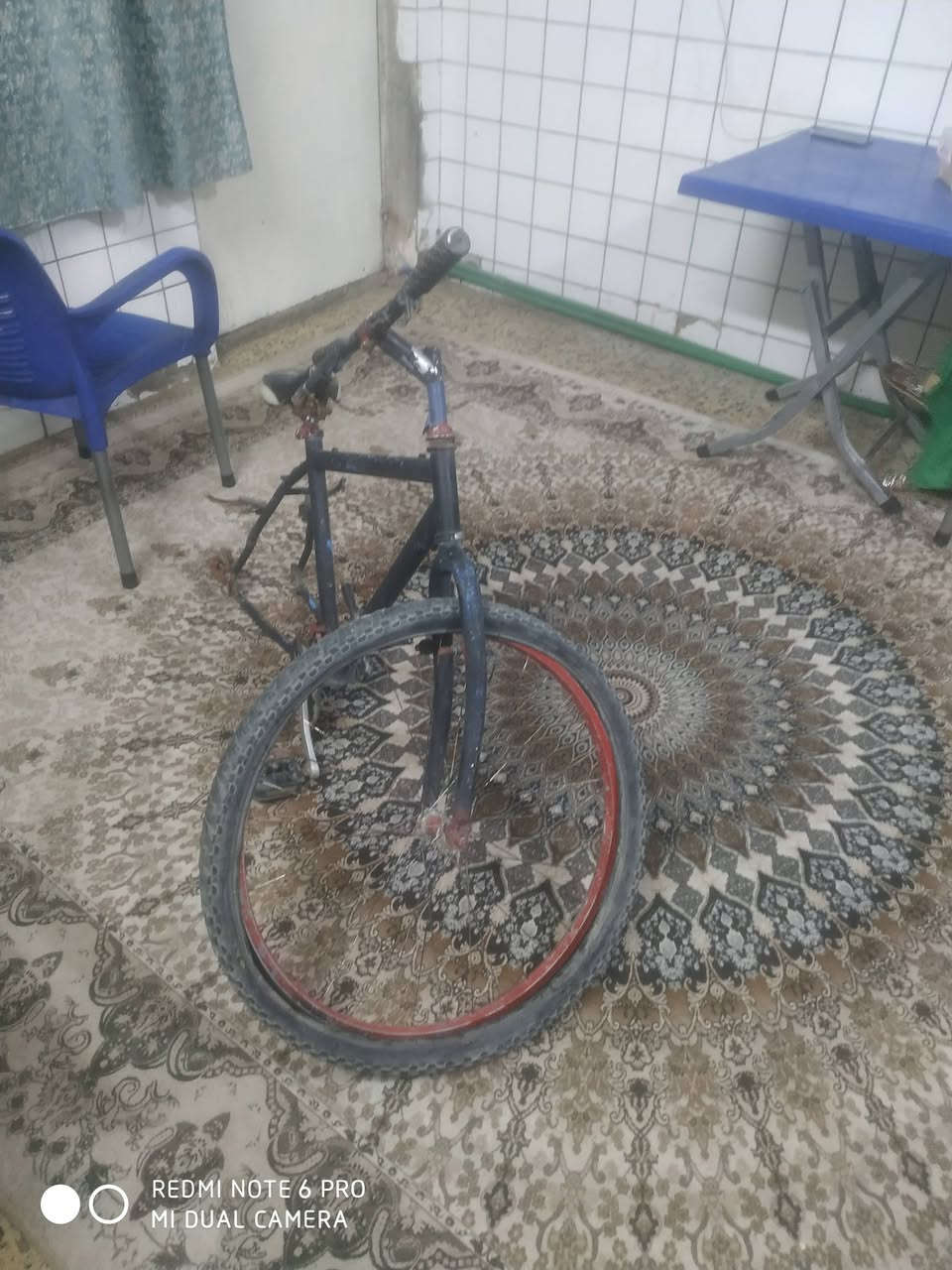 السلام عليكم اخوان شاصي مال باسكل سباق قيم وخذ الشعب شارع الصحة ***********
