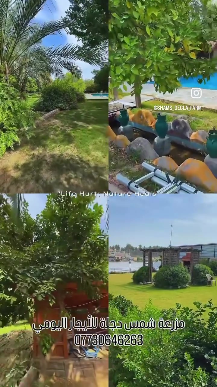 مزرعة شمس دجلة(شاطية) للايجار اليوم بغداد الزعفرانية ***********
