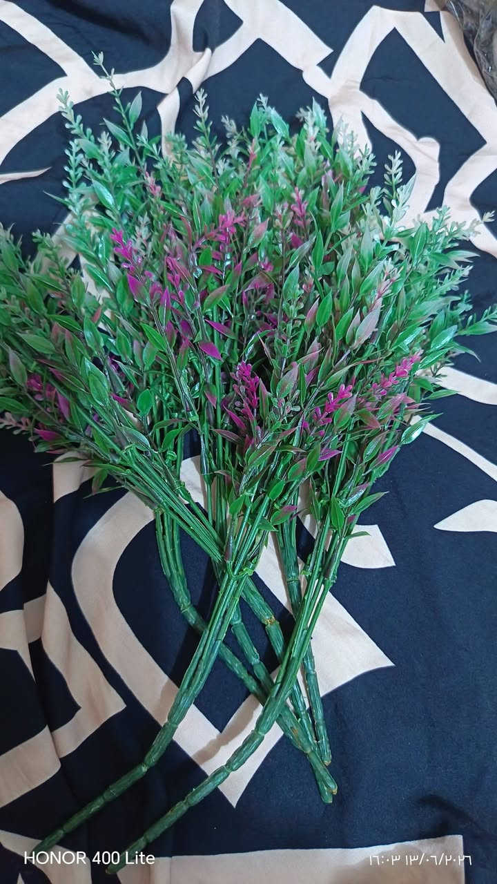 ورد طبيعي قطن والونه وردي معطر  والآخضر صناعي كلهم ١٠ فقط


**إذا كنت صاحب هذا الإعلان وتريد حذفه لأي سبب، رجاءا أرسل رسالة إلى الدعم الفني**