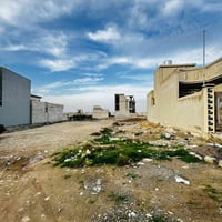 الكندي الثانية • ١٦٨م • جمعية